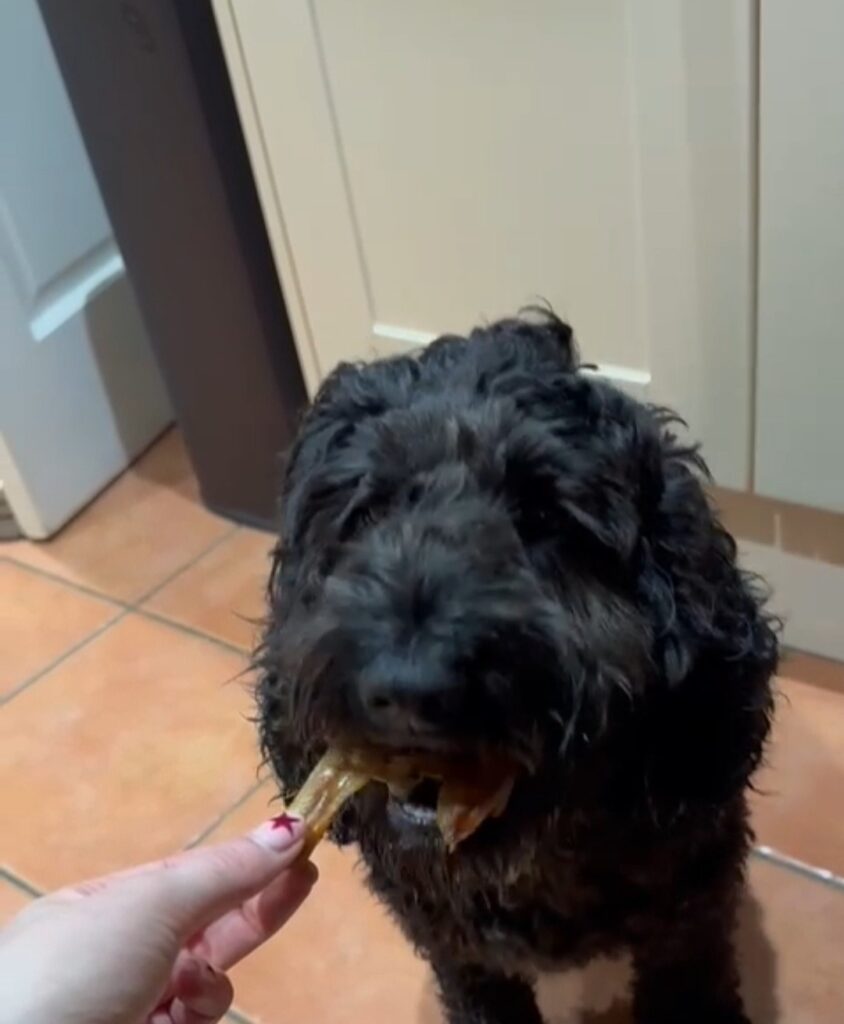 Screenshot 20240123 152830 Galleryjpg