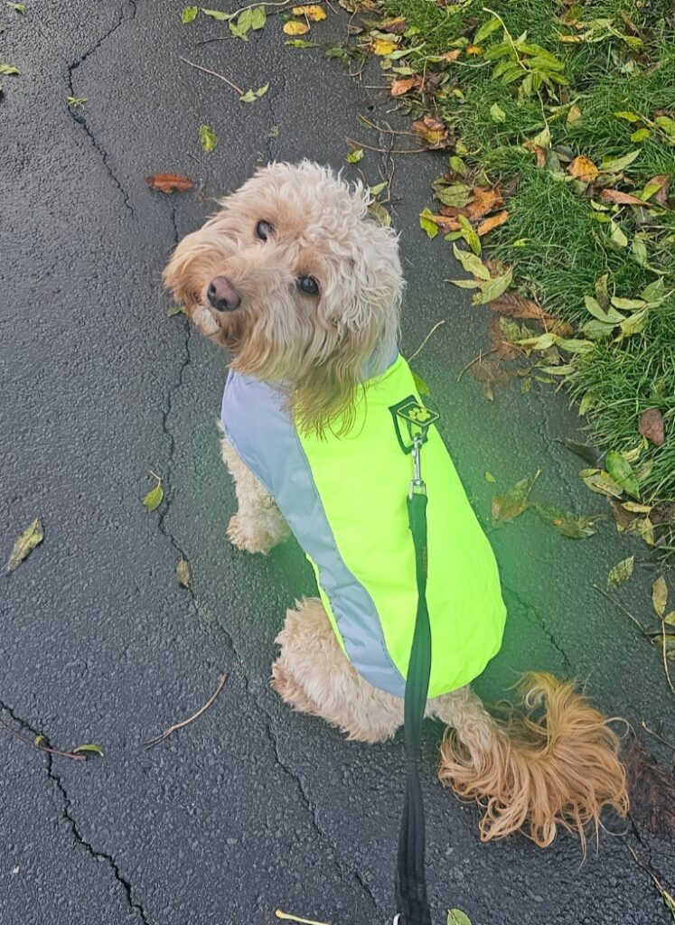 Screenshot 20240123 160004 Galleryjpg